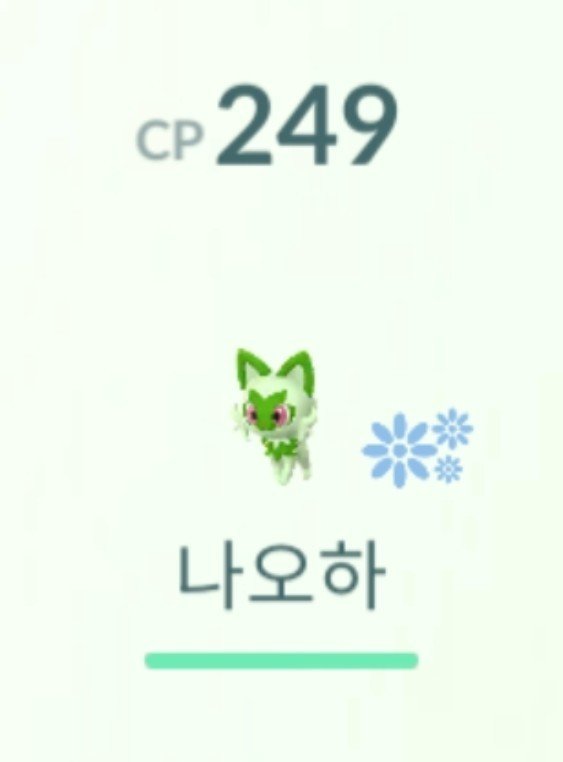 76_77_Ark's tweet photo. 이거 꽃무늬는 무슨 뜻이에야 https://t.co/3DnfHcimvZ