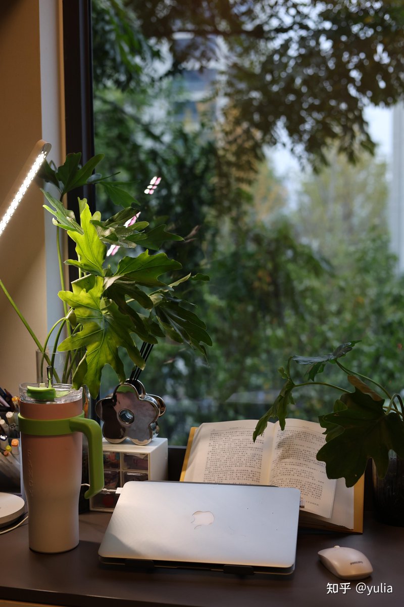victoriga99's tweet photo. Just swapped my 9-to-5 desk for a balcony garden + remote work vibe—small shift, big daily happiness upgrade. https://t.co/FMtgqqFrpv