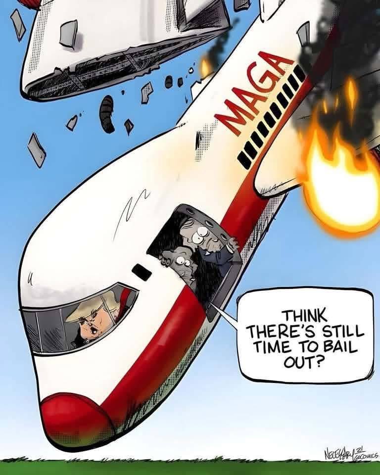 Trumpisafool77's tweet photo. @essammot @EricLDaugh @BillMelugin_ Then where the fuck are they? Most well funded secret police in history. Supreme Court say, “Round up any browns you like.”
And y’all can’t even hit Obama’s numbers. You’ll never admit what fools you’ve been. 
Doesn’t even matter now. #WhiteBoyDEI https://t.co/j1zlZnBBXJ