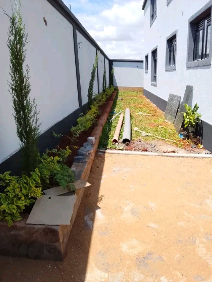 DavidMu49567888's tweet photo. From foundation to finish we got you covered 🧑‍🔧 
WE DESIGN AND BUILD 
📞+254711151528 https://t.co/4wqazB1wcq
