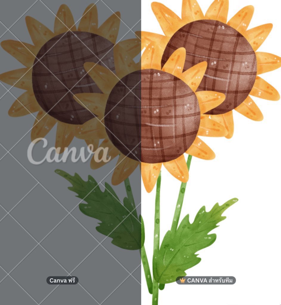 IsrealShubbxhb's tweet photo. Canva Pro เเคนวาโปร ใช้เมลส่วนตัว

30  วัน   20  บ.

🟢 ไม่ย้ายทีม ทีมเดิม
3   เดือน   -  100  บ.
6   เดือน   -  200  บ.
12 เดือน   -  300  บ.

Ⓜ️ สนใจทัก https://t.co/ZyC1tH3dfP

#หารแคนวา #หารcanva #หารcanvapro ohun https://t.co/0jhEOgeO5C