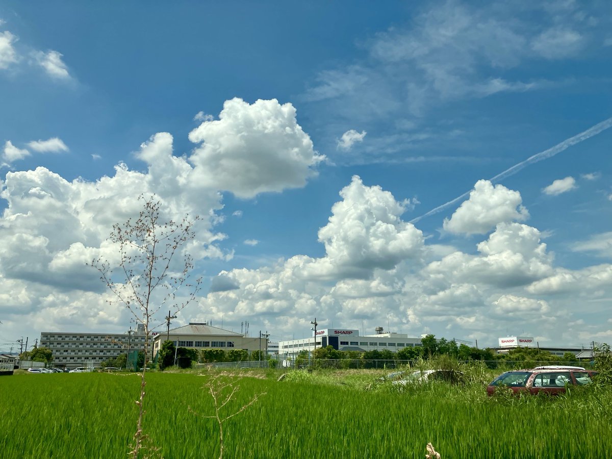 575koto's tweet photo. モクモクくもくも⛅️☁️ https://t.co/xPzBXrdhfL