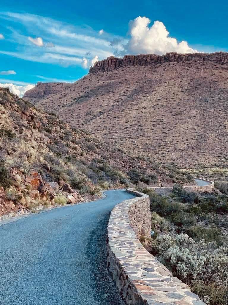 SANParksKrNP's tweet photo. #KarooNationalPark's unmistakeable Klipspringer Pass📷Jens Friis #LiveYourWild #WildBackYard @SANParks https://t.co/c2Ls2xo4ut