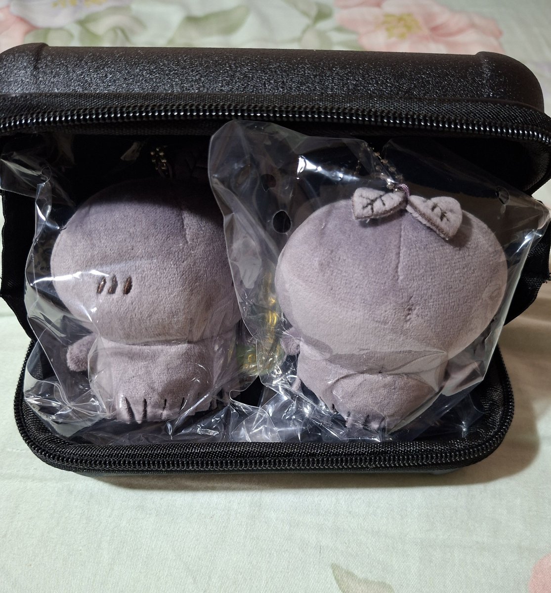 Saoriling520's tweet photo. セブンイレブンの箱に葉っぱが1枚、2枚も入るなんて想像もしていませんでした❤️ しかも、それらを全部暗い場所にずっと保管できるなんて🥹 https://t.co/wJ4pYI68ld