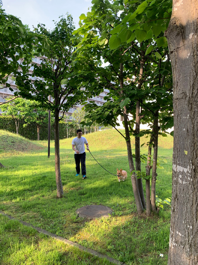 Pq00rGgxbgIwYxv's tweet photo. 清晨带了刚蒸的玉米，敲开三楼阿姨的门分享，邻里之间的暖意就藏在这一口甜里～； https://t.co/x56YOTiXQN
