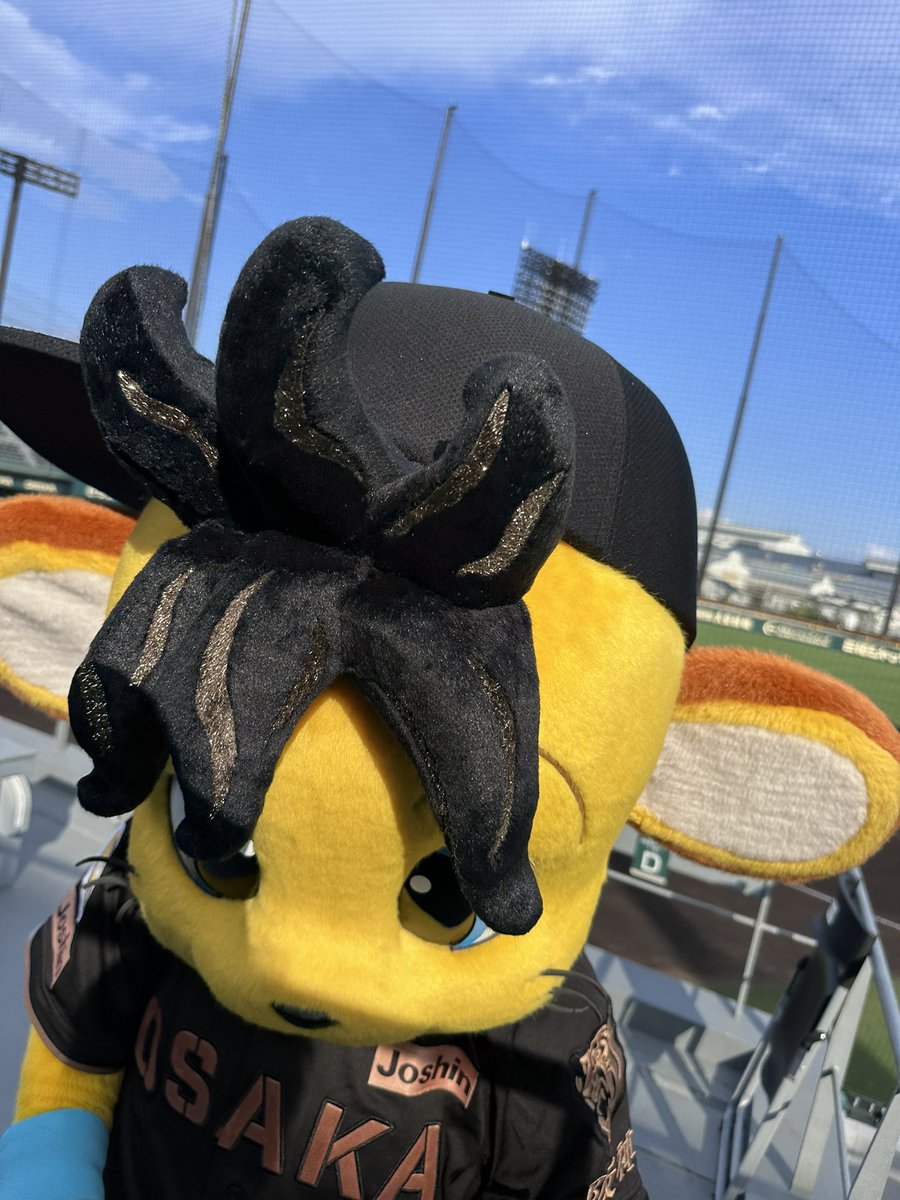 Tigers_farm's tweet photo. ブラック仕様の黒髪コラッキー登場🐯
#阪神タイガース
#TBDS
#コラッキー
#ゼロカーボンベースボールパーク 
#日鉄鋼板SGLスタジアム尼崎 https://t.co/P4eZjzPMvF