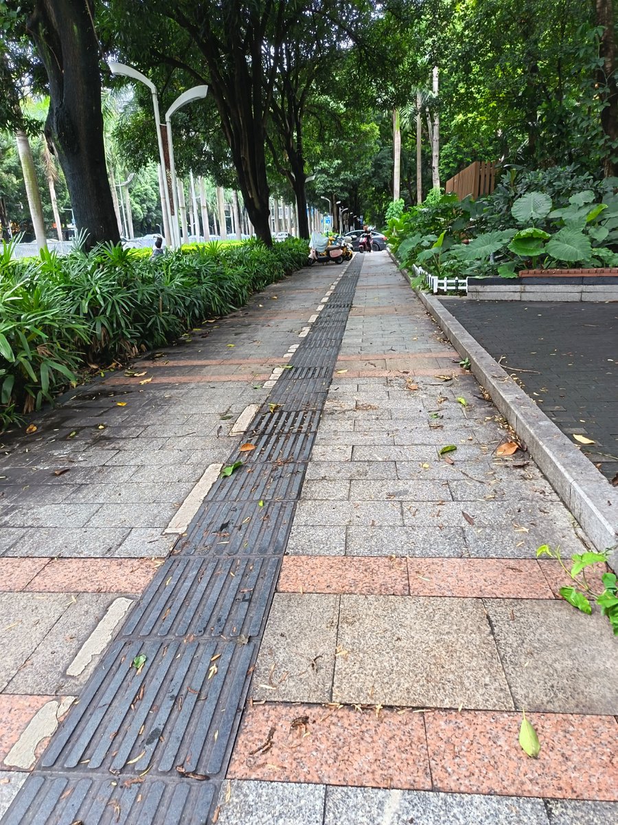 karlmax9692's tweet photo. Just got caught in a sudden summer rainstorm! The sky turned grey instantly, and the air smells so fresh right after the downpour. Love this cool surprise on a hot day! https://t.co/7Y0mMoA7dL