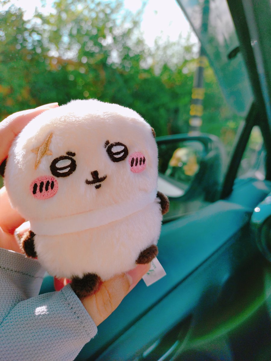 8yk310's tweet photo. 旅のお供に先生 https://t.co/ohtIzcs6ov