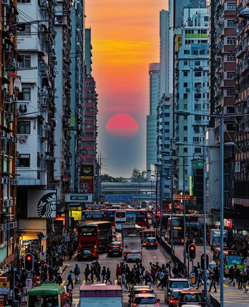dmitrius25's tweet photo. New to photography Start with mastering natural light—look for the golden hour (1hr after sunrise / 1hr before sunset) for soft, warm tones that make your shots pop! https://t.co/FLvtkdD4cE