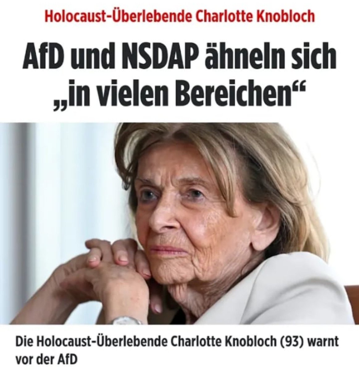 HS_Akechi's tweet photo. #AfD ist eine Nazi-Partei. https://t.co/g33HdXsRpK