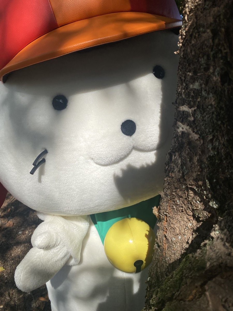 iinosuke_hikone's tweet photo. 本日も #彦根 は、照りつける日差しが眩しかったでござるよ😎☀️

#ひこにゃん 殿は何やら木の幹を気にしておられたでござる👀甘い蜜でも出ていたでござるか✨

ややっ！拙者発見したでござる🔍
拙者に負けず劣らずの忍び…お見事でござる😳

#いいのすけ #小さな夏 https://t.co/ZyfAoimrk0