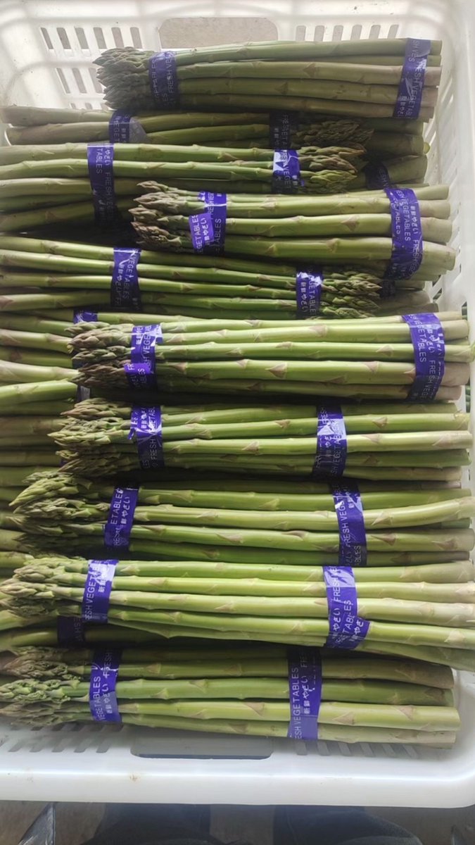 FILM24858's tweet photo. Super fresh local asparagus from the weekend farmers' market! Crisp, sweet, and zero bitterness — perfect for a quick sauté. 10/10 would buy again. https://t.co/4gZjAEhw1g