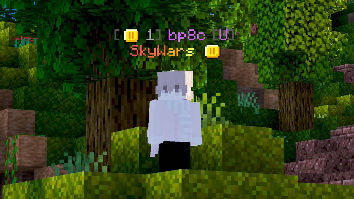 bp8cc's tweet photo. 4th time prestiging in Skywars!!
(bp8c prestige 2) https://t.co/yk2Z0rzfWU