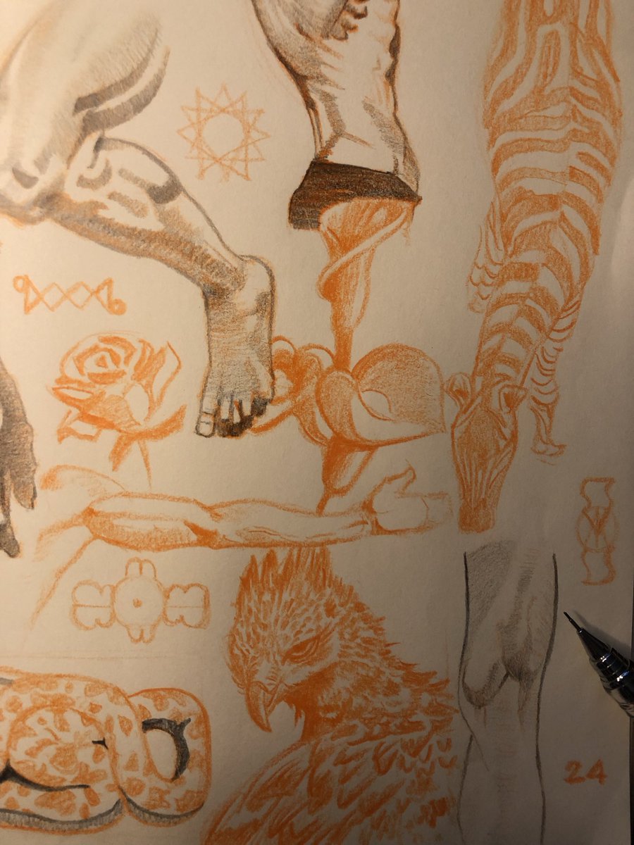 ST_Nutt31's tweet photo. What I draw today https://t.co/PgTumS46rY