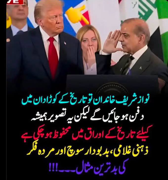 Karwa_Saach's tweet photo. ٹرمپ کے تلوے چاٹ یا پھر فیلڈ مارشل کے بوٹ چاٹ چاٹ کر پالش کر
شوباز تیری پرواز سے جلتا ہے زمانہ...
کیونکہ تیری اوقات پالتو ٹامی سے زیادہ کچھ نہیں۔۔۔!!! https://t.co/8BdZLbzrsP