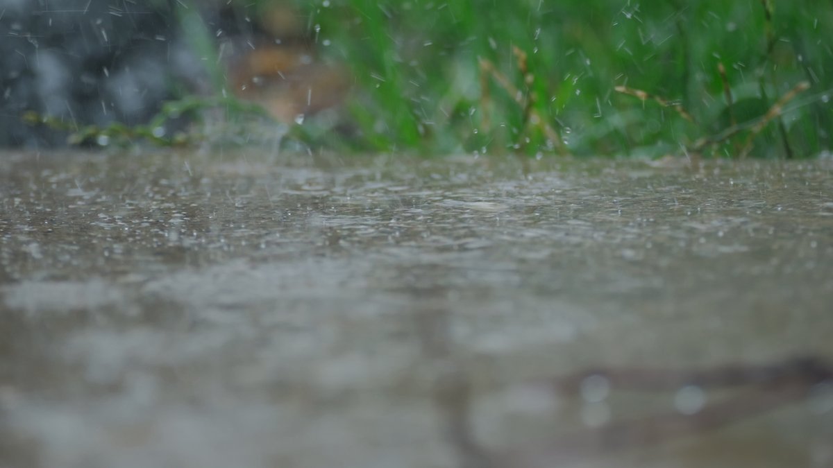 conont's tweet photo. Hazardous weather can be sudden and unpredictable. Summer storms bring heavy rainfall and a risk of flooding. Stay informed with your local Conservation Authority and monitor their flood messages for the latest safety information in your area.🌊
https://t.co/IPcyiE3RJE https://t.co/9p1GRbEX1f