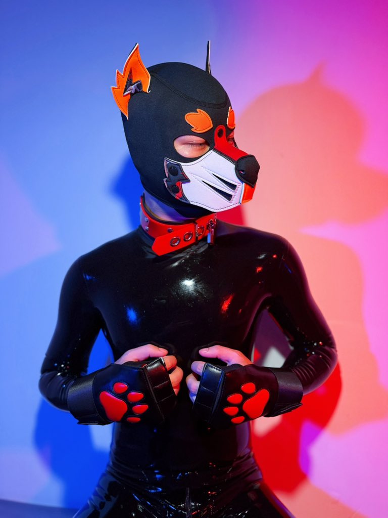 XG_WWJ's tweet photo. 闪电耳霓虹小狗🐶
📷：@UniformBoy_E 
新头来自：@Gibbon_Black 

#GibbonBlack https://t.co/QHHrvHv8vF