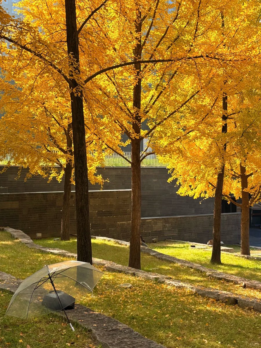Z_11__1st_Lt_Sh's tweet photo. [Don’t miss our Photography Club’s weekend outdoor shooting activity! We’ll capture the autumn foliage at City Park this Sat (10 AM–4 PM). Bring your camera u0026 join us for tips from pro members—sign up via the link in bio!]， https://t.co/Mzk1n7hrQR