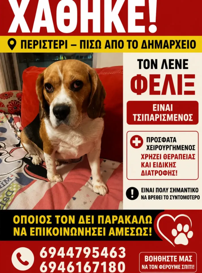 dogg_gr's tweet photo. 🆘O Φέλιξ δεν έχει βρεθεί ακόμη.

 Η οικογένειά του τον αναζητά με αγωνία μέρα και νύχτα. 

🙏 Κάθε πληροφορία, ακόμη και η παραμικρή, είναι πολύτιμη!

#Περιστέρι  #Χάθηκε #Σκύλος #Missingdogg https://t.co/NPl2ngoTPI