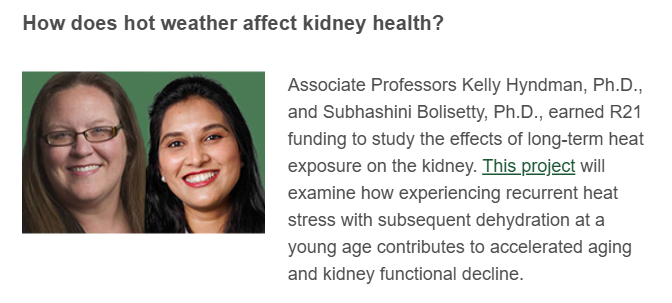 UAB_NRTC's tweet photo. Congrats to Dr. Kelly Hyndman and Dr. Subhashini Bolisetty on receiving R21 funding to study the effects of long-term heat exposure on the kidney! 👏👏@DrKeeksPhD @BolisettySu https://t.co/iDxVA57IX3