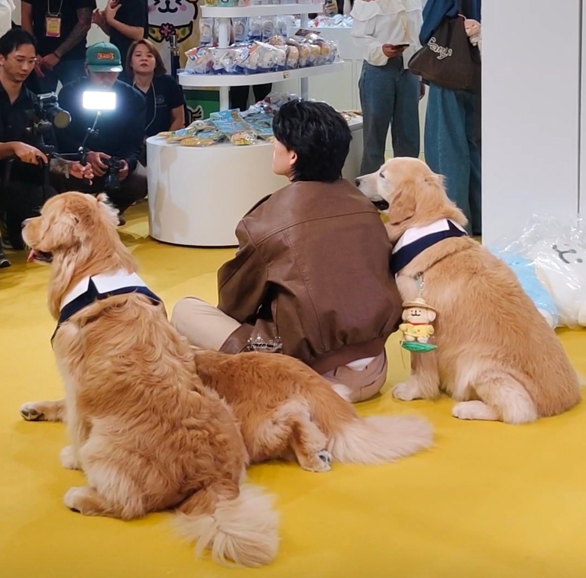 wHaTdah_Hell's tweet photo. จิ๋ววววววว🐻🐶🐶🐶 https://t.co/KAanLksLkd