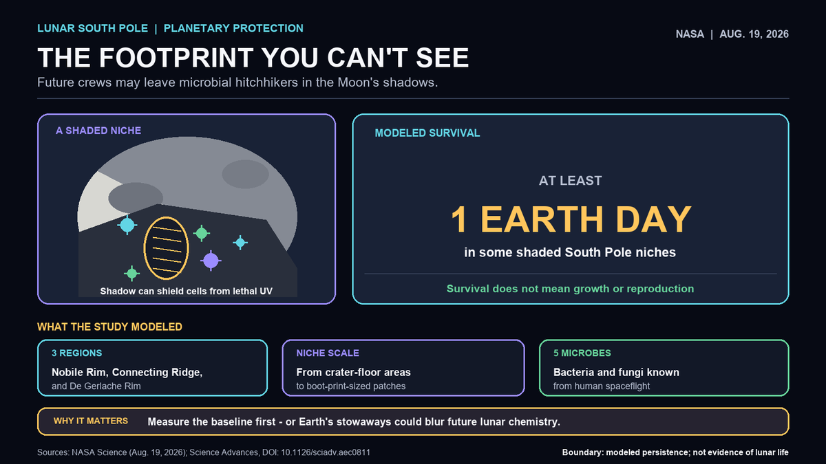 TruthSeeker6174's tweet photo. Not every footprint on the Moon will be visible. NASA models suggest Earth microbes shed by crews could survive at least one Earth day in shaded South Pole niches—from crater floors to boot-print patches. They may blur future searches for native chemistry. Source: NASA https://t.co/CUHKj6tagK