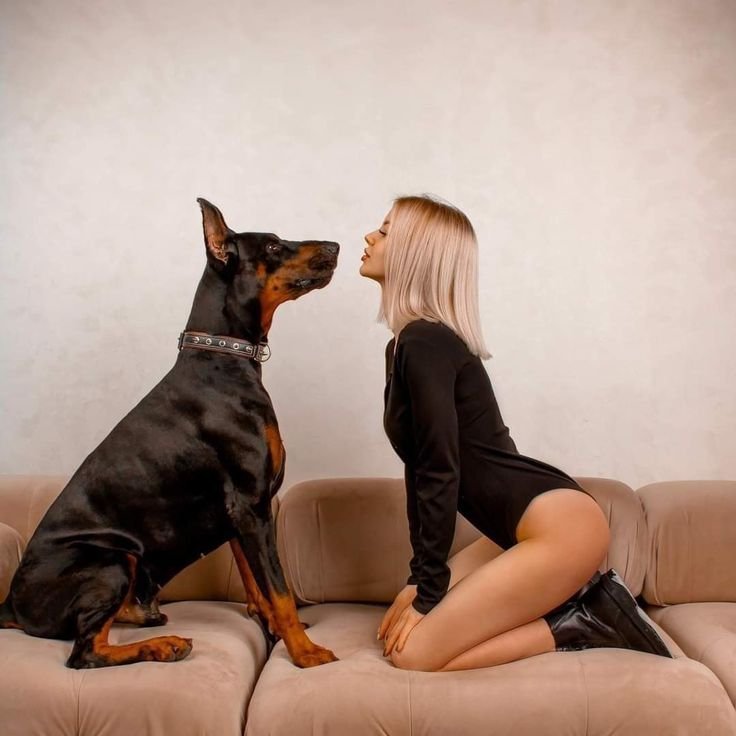 jlynn7700's tweet photo. Soft affection for the timeline.
Private is pure mounting, locking, and filling.
Link in bio
#dogs #K9 #USA https://t.co/YBTTP2H47M