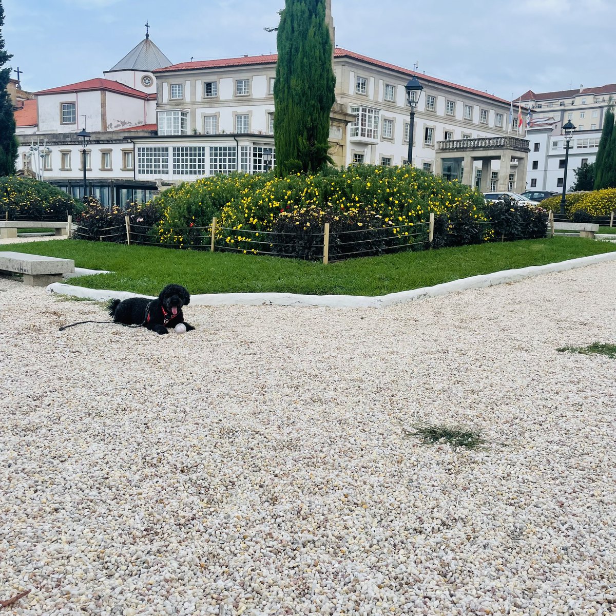 CrisVarzari's tweet photo. Here 🐾 https://t.co/e8FpRmKaNV