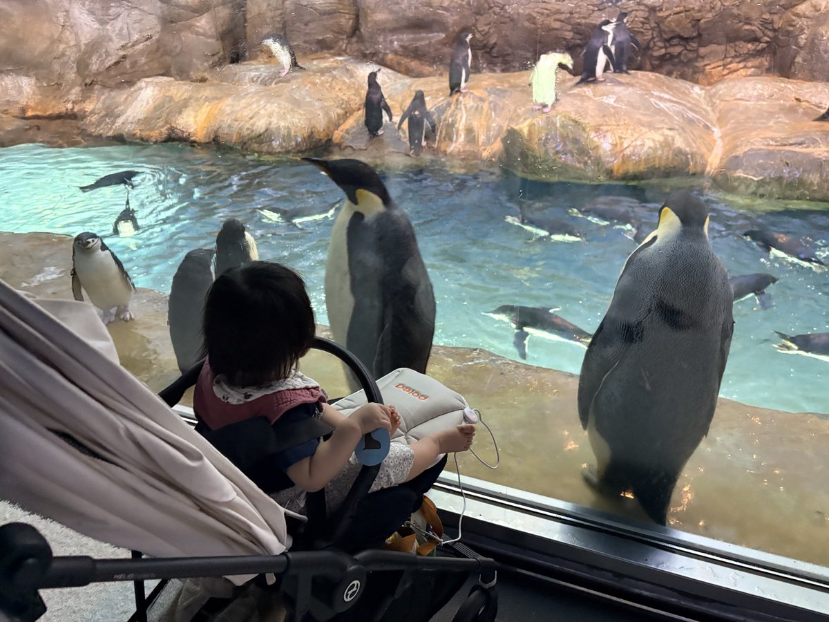mapemapepo's tweet photo. 旅行のことは覚えてないだろうし、基本は親の自己満足(赤子と旅に出たいという)なんだけど、長い目で見たりすると何らかの影響を与えたりしてるのかもな〜と。
とりあえず、旅行行った感ある写真をたくさん撮れたのもよかった📸 https://t.co/QnYEDao85M