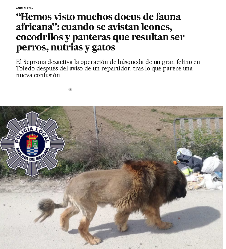 tutifrutiauruti's tweet photo. Sólo en Españita. https://t.co/hvgwc0aUgt