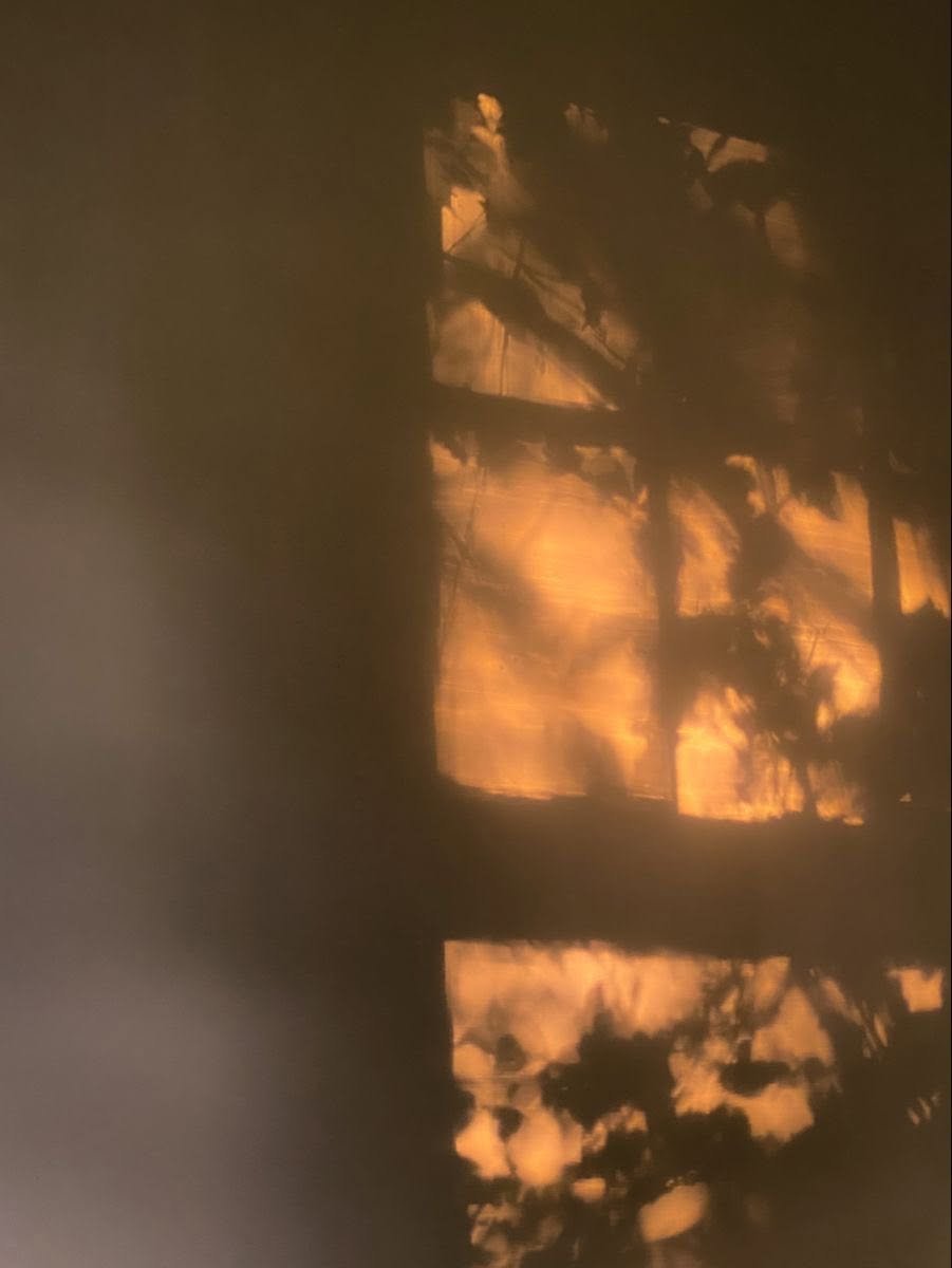artindetails's tweet photo. golden hour https://t.co/VE9UnkAxI1