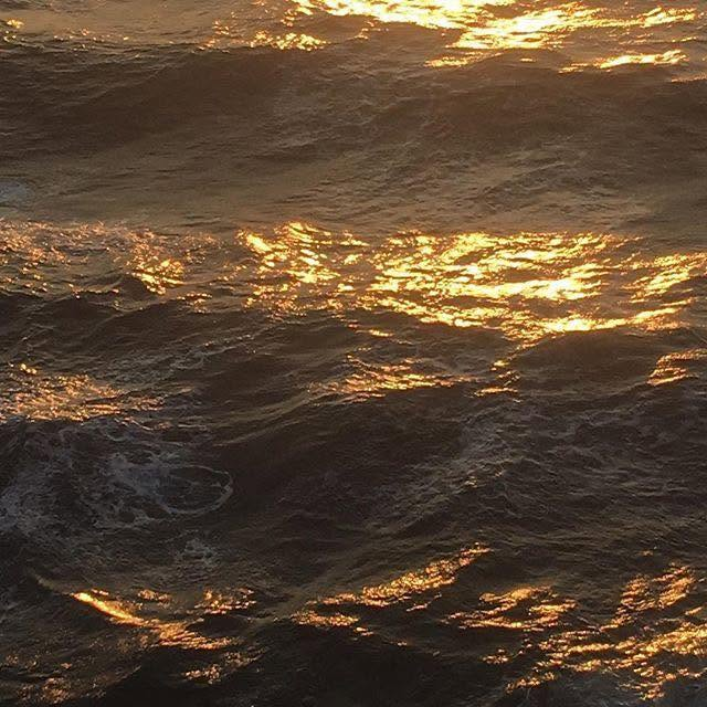 artindetails's tweet photo. golden hour https://t.co/VE9UnkAxI1
