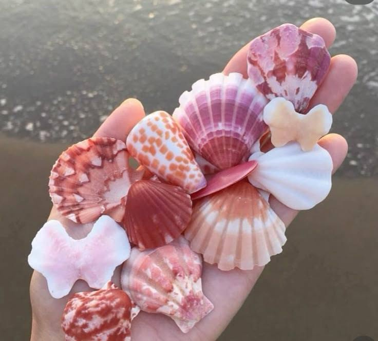artindetails's tweet photo. pink shells https://t.co/37JnQMAGK3