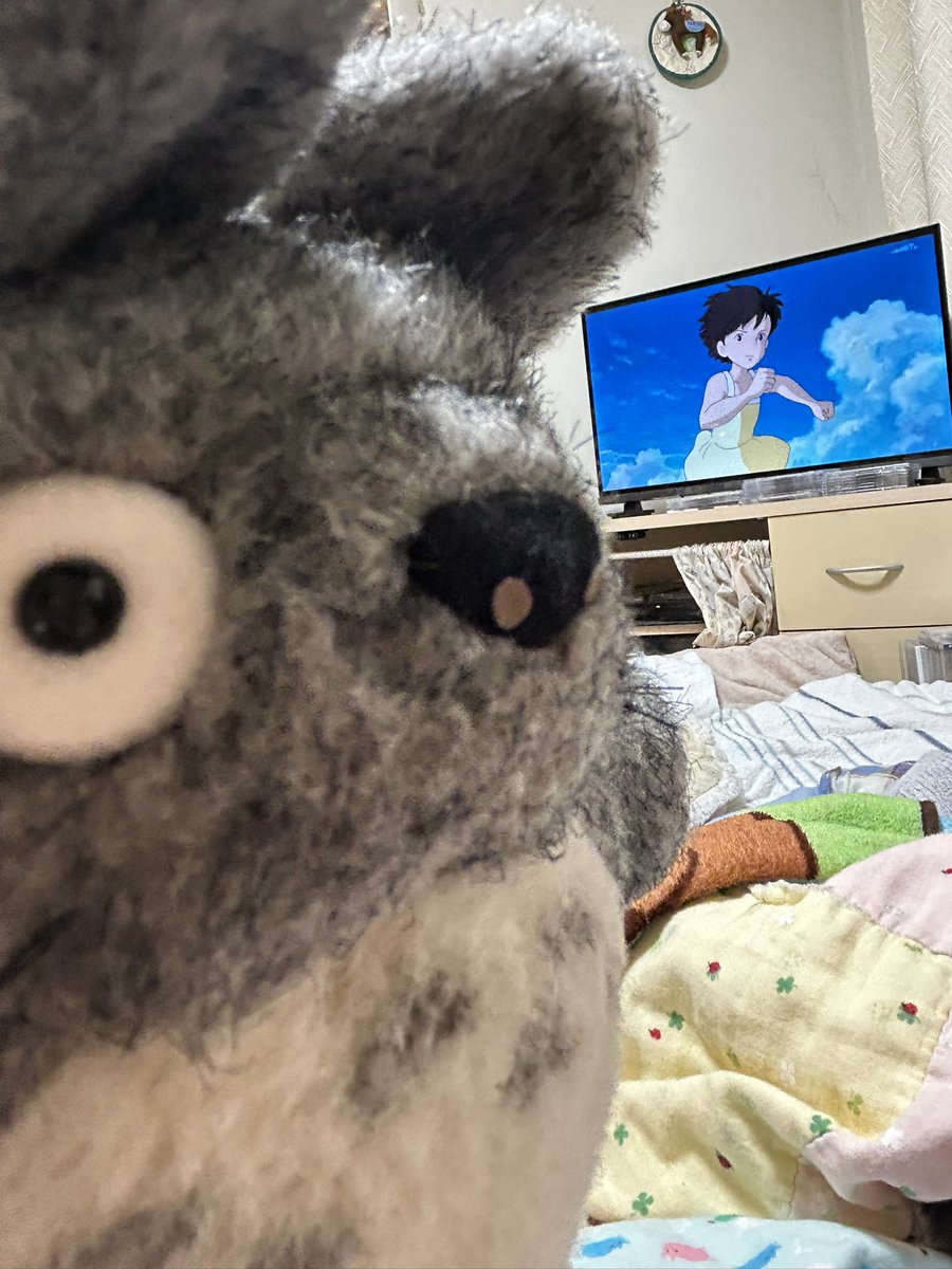hakohakoBs's tweet photo. トトロ視聴中トトロ https://t.co/oXMzmQtDqy