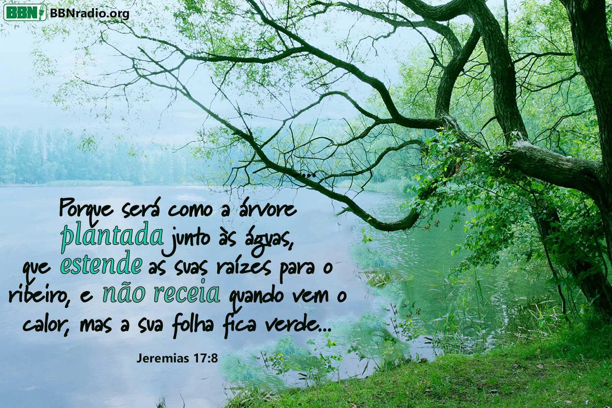 renatoibra's tweet photo. Bom dia https://t.co/l1969zpuwn