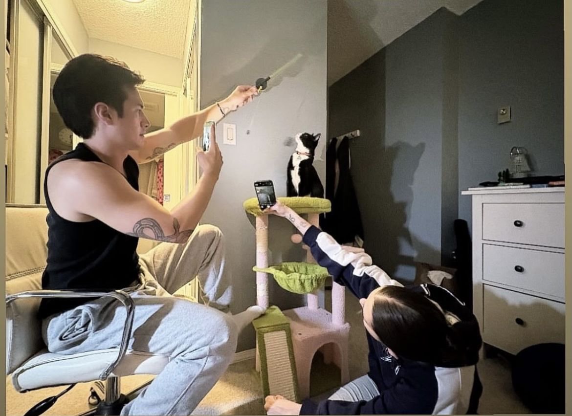 phenynobs's tweet photo. Poor Gizmo.. His parents were training him from childhood..stop this child labour Hudson 😹 #lifeofchildcelebrities https://t.co/DgfYxu2f2b