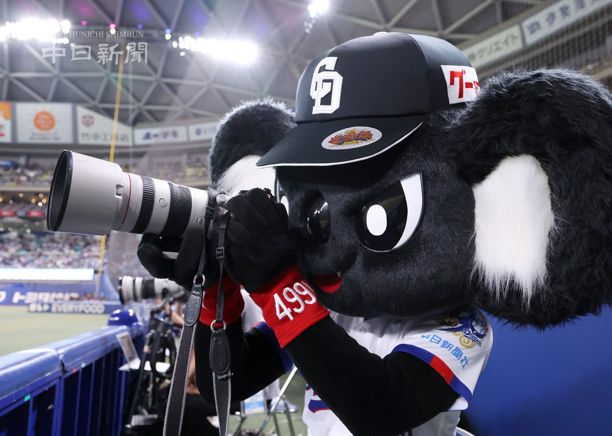 chunichiphoto's tweet photo. 【ドラゴンズ】カメラを構えるブラックドアラ #中日新聞 #中日スポーツ https://t.co/vj6lPIDThv