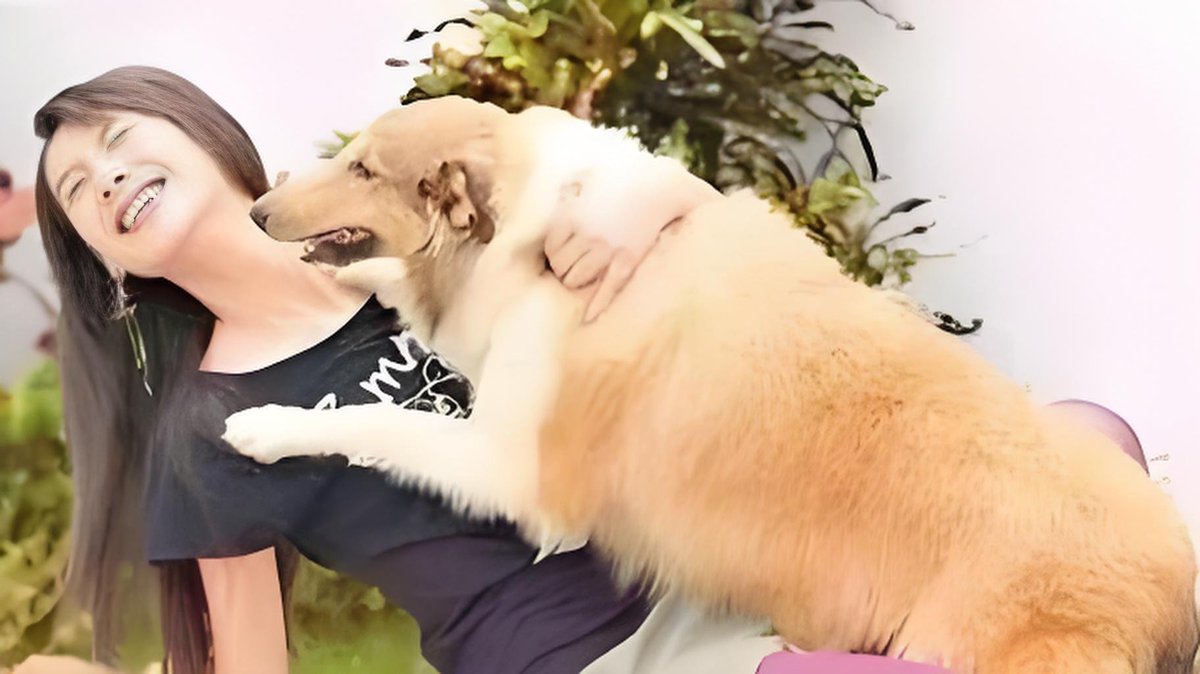 Theronrx69's tweet photo. My pup’s 5-minute tail wag after a long day = the best stress relief there is  Nothing beats this quiet, unconditional love. https://t.co/lpT32I5HIT