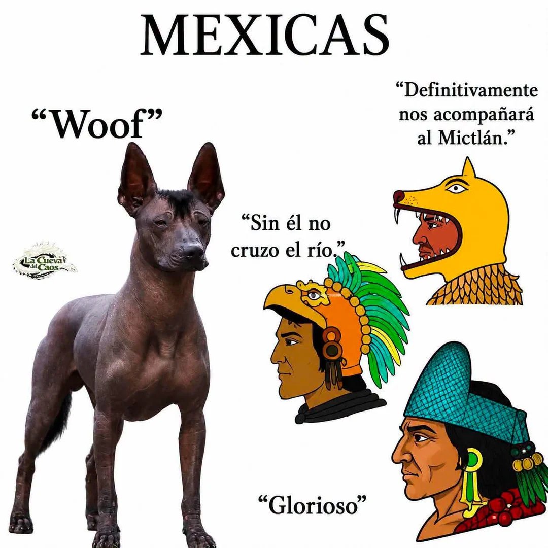 Monaxis600's tweet photo. alv un perro https://t.co/5y1hzpUPx1