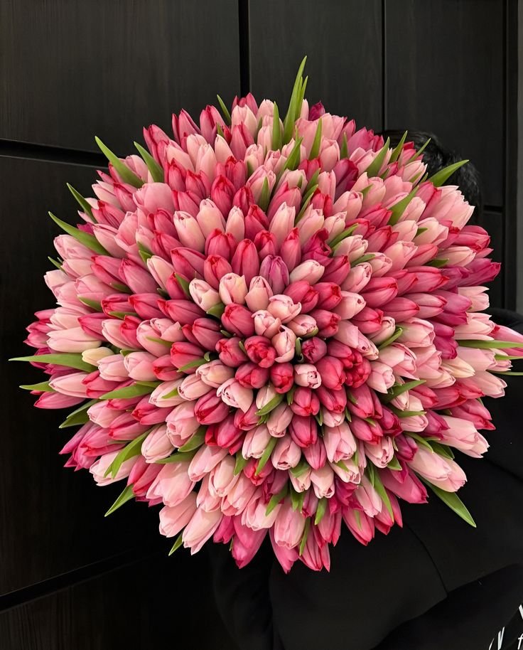 dreamyflowerrs's tweet photo. pretty tulips 🌷 https://t.co/ZiKErQ89uJ