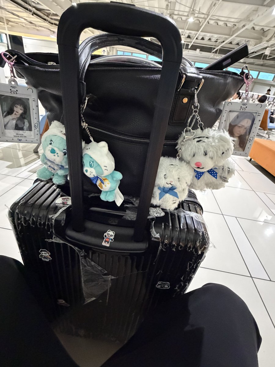 Fujimon_0703's tweet photo. (っ ॑꒳ ॑c) https://t.co/irTtCDFuYz