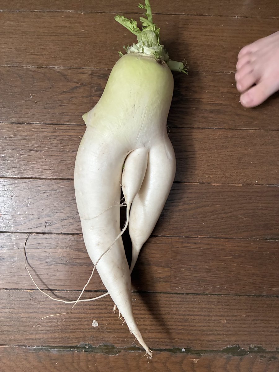 juicykao's tweet photo. ネットでは見た事あるけど、リアルで初めて見た🤣 https://t.co/6tRCuH0EDD