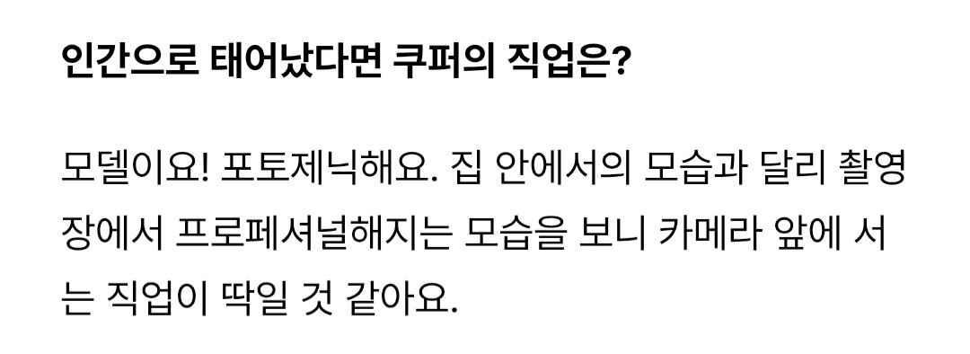aeriminded's tweet photo. DOGUE by VOGUE Korea Interview with GISELLE and COOPER

💬: if COOPER were born as human, what would his job be?
🌙: a model! he's so photogenic. he gets really professional in front of the camera on the set, unlike how he acts at home, so i think a job that puts him in front of a camera would suit him perfectly.
