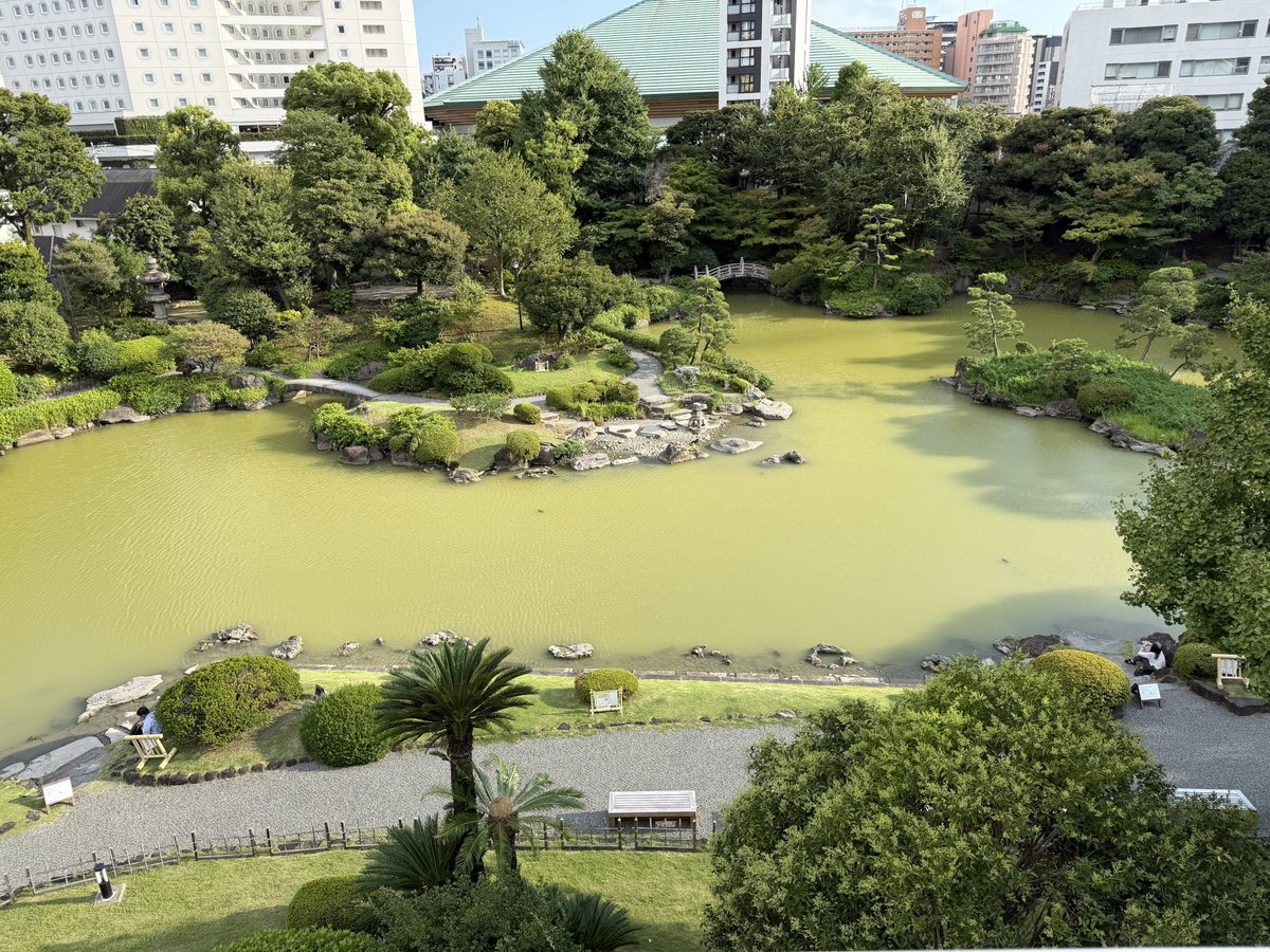 tontsu_yakiniku's tweet photo. お客様の打った新作の刀が高松宮賞で日本一に輝きました、おめでとうございます
鎌倉時代を意識した長くて美しい仕上がりです
両国の刀剣美術館で8月末まで展示されてますのでお寄りくださいませ
忙しくなるまではFF14もやってたそうです https://t.co/VCzoUYHOPs