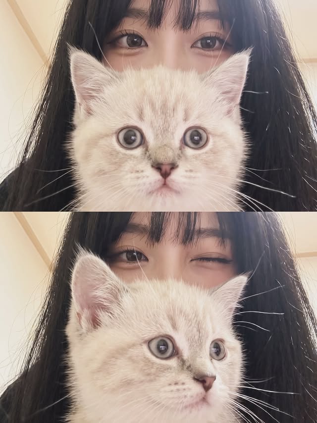 danbi_day's tweet photo. 야옹?! https://t.co/ZgJ0Hs9z3K