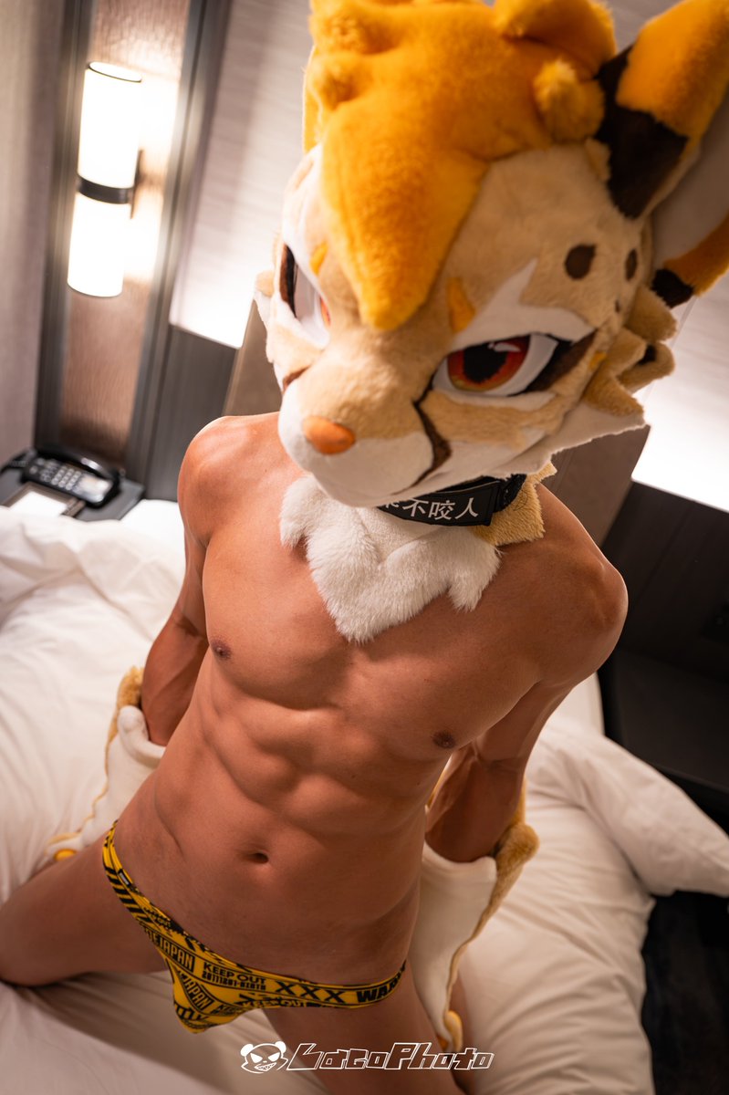 cheetah_paws's tweet photo. Bedtime 😴
📸 @Lacotot https://t.co/rJvkpS0NJM