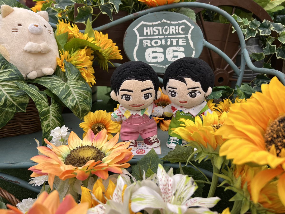 maru_hrmk's tweet photo. 今年もなんばウォークの
ひまわり🌻畑を満喫☺️✨

#DollsKristSingto
#KINGMAN https://t.co/YjSW2xF2Ka