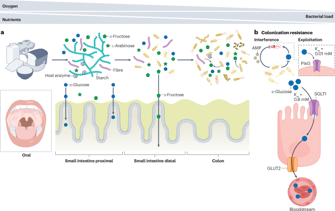NatureRevMicro tweet picture