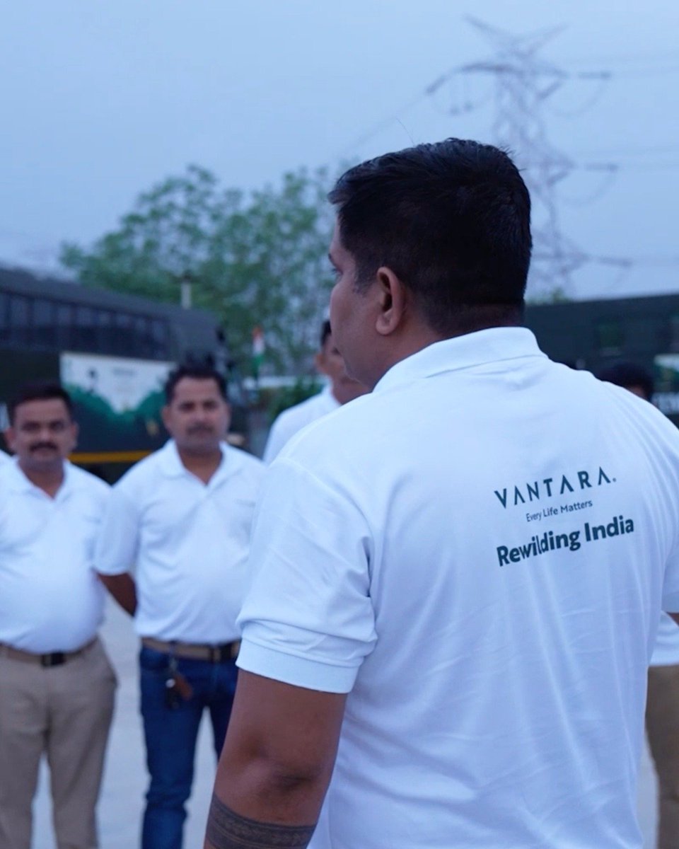 onceapihu's tweet photo. Blackbucks ka comeback Banni ke natural landscape ke liye ek beautiful milestone hai. 🌿🦌 #Vantara https://t.co/smWh5BPjGa