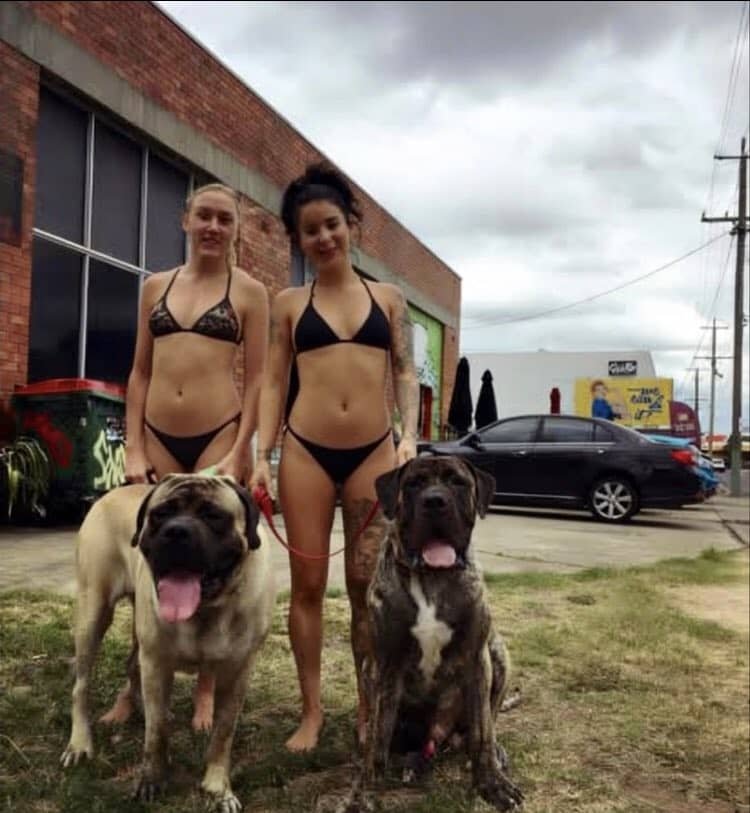 Ryt_TraXx's tweet photo. Romantic dominance.
Private K9 content for the right ones.
Link in bio
#dogs #K9 #Germany https://t.co/hksWS6V8Ae